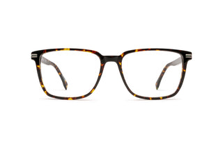 2130102140 Tortoise image-1