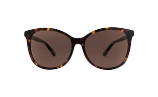 2741101850 Tortoise image-1