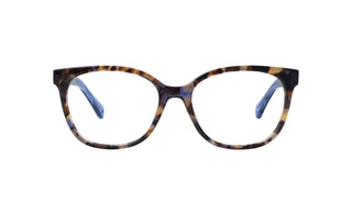 6500104830 Tortoise/Blue image-1
