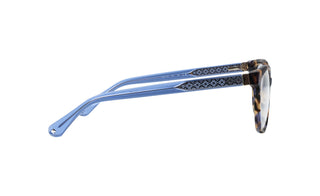6500104830 Tortoise/Blue image-2