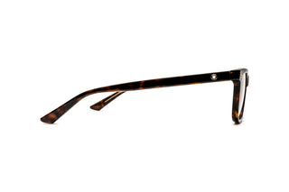 7000528640 Tortoise image-2