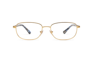 1210100980 Gold image-1