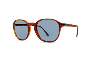 1210101580 Tortoise image-3