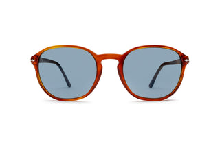 1210101580 Tortoise image-1