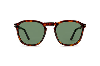 1210101590 Tortoise image-1