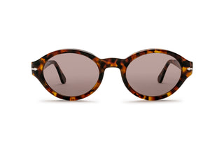 1210102130 Tortoise image-1