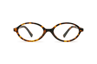 1290100510 Tortoise image-1
