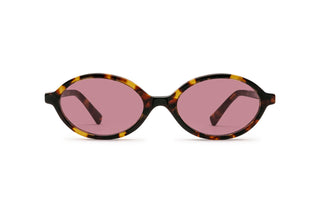 1290100680 Tortoise image-1