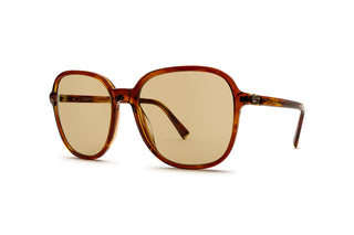 1290101000 Brown image-3