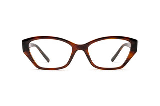 1390106380 Tortoise image-1