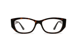 1390106520 Tortoise image-1
