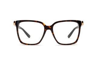 1650102760 Tortoise image-1