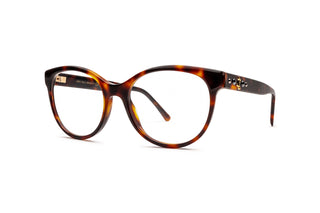 1650103490 Tortoise image-3