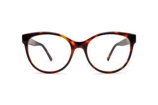 1650103490 Tortoise image-1