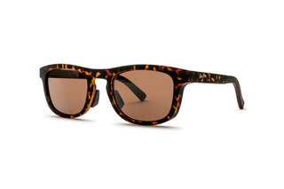 1771112770 Matt tortoise image-3