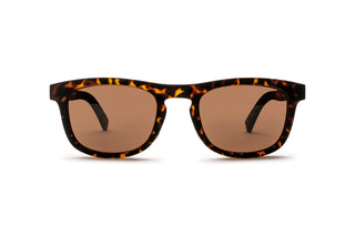 1771112770 Matt tortoise image-1