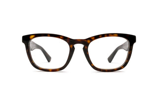 1860104940 Tortoise image-1