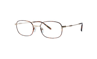 1970300830 Tortoise/Gold image-3