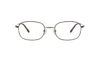 1970300830 Tortoise/Gold image-1