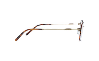 1970300830 Tortoise/Gold image-2