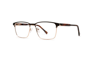 1970302080 Dark brown/Tortoise/Gold image-3