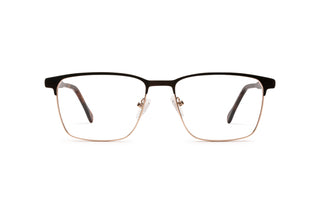 1970302080 Dark brown/Tortoise/Gold image-1