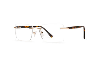 1970302140 Gold/Tortoise image-3