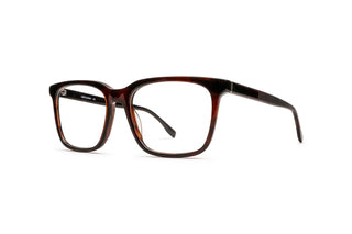 1970302230 Tortoise image-3