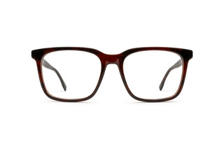 1970302230 Tortoise image-1