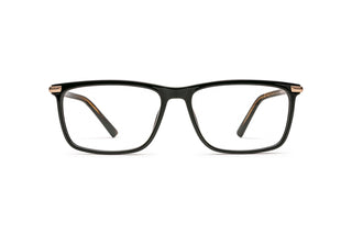 1970302310 Black/Gold image-1