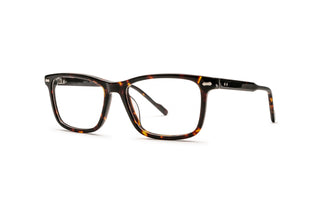 1970302590 Tortoise image-3