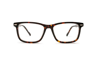 1970302590 Tortoise image-1