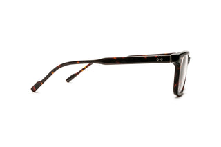 1970302590 Tortoise image-2