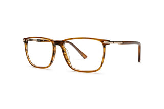 1970302800 Tortoise image-3