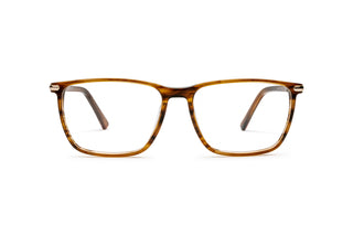 1970302800 Tortoise image-1