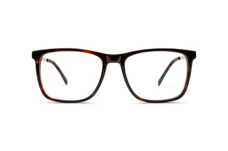 1970302830 Tortoise/Gold image-1