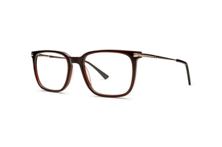 1970303130 Brown/Gold image-3