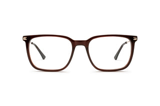 1970303130 Brown/Gold image-1