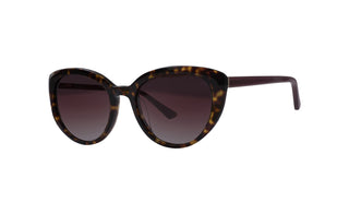 2121100260 Tortoise/Purple image-3