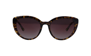 2121100260 Tortoise/Purple image-1