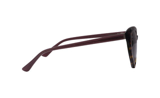 2121100260 Tortoise/Purple image-2