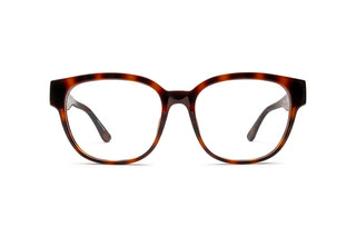 2130101640 Tortoise image-1
