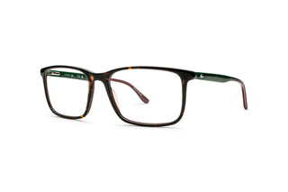 2130102410 Tortoise image-3