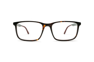2130102410 Tortoise image-1