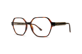 2130102420 Tortoise image-3