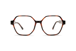 2130102420 Tortoise image-1