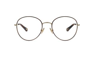 2160101670 Tortoise/Gold image-1