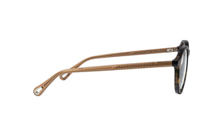 2160101780 Tortoise/Brown image-2