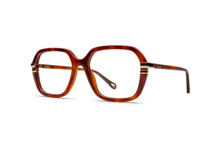 2160104050 Tortoise image-3