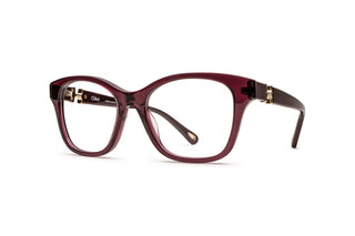 2160104070 Burgundy image-3